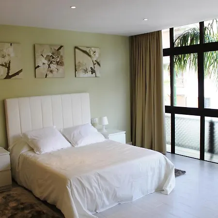 Prime Homes Puerto Cruz Central Deluxe Apt. *